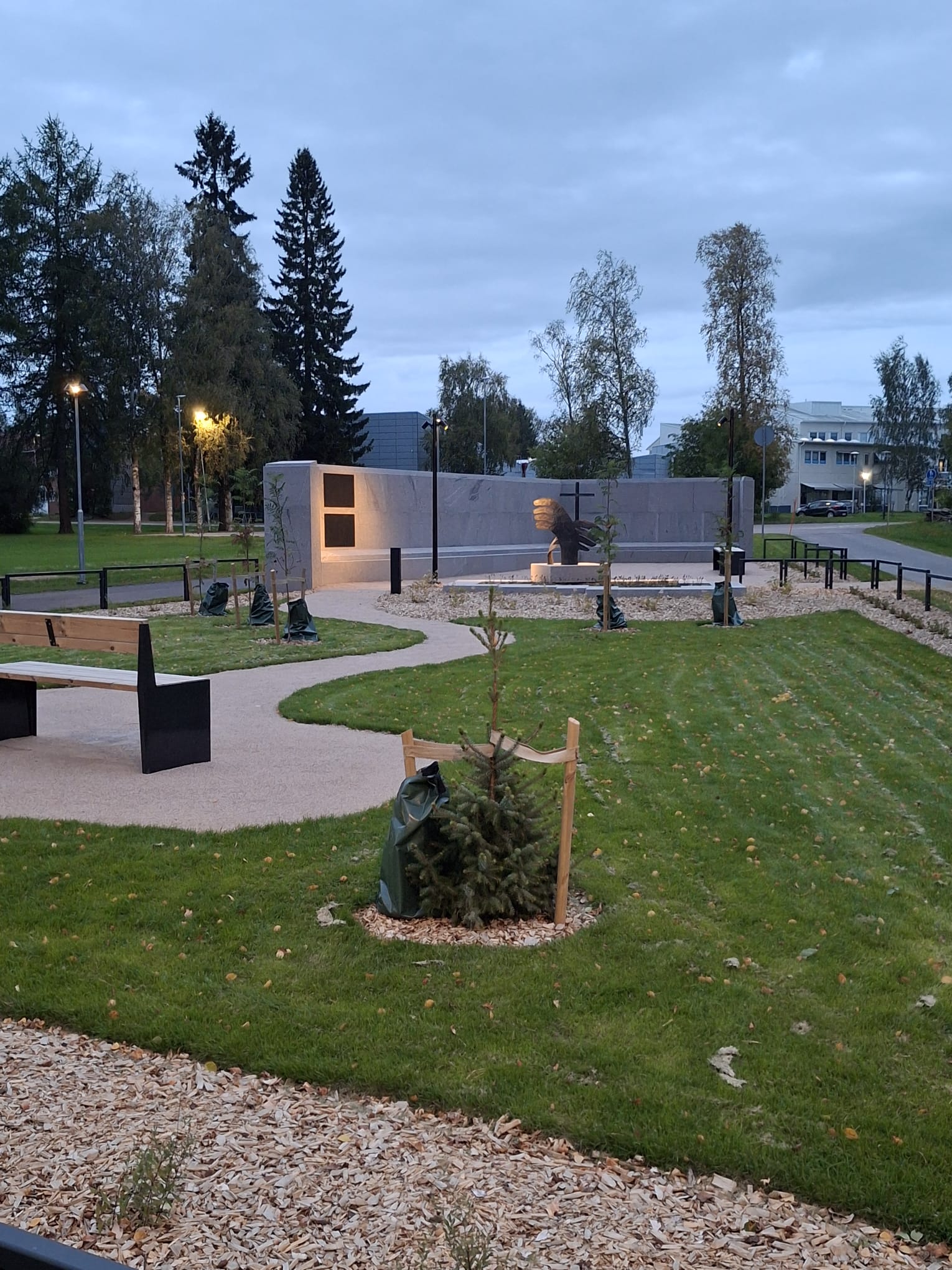 Musitolehto iltavalaistuksessa