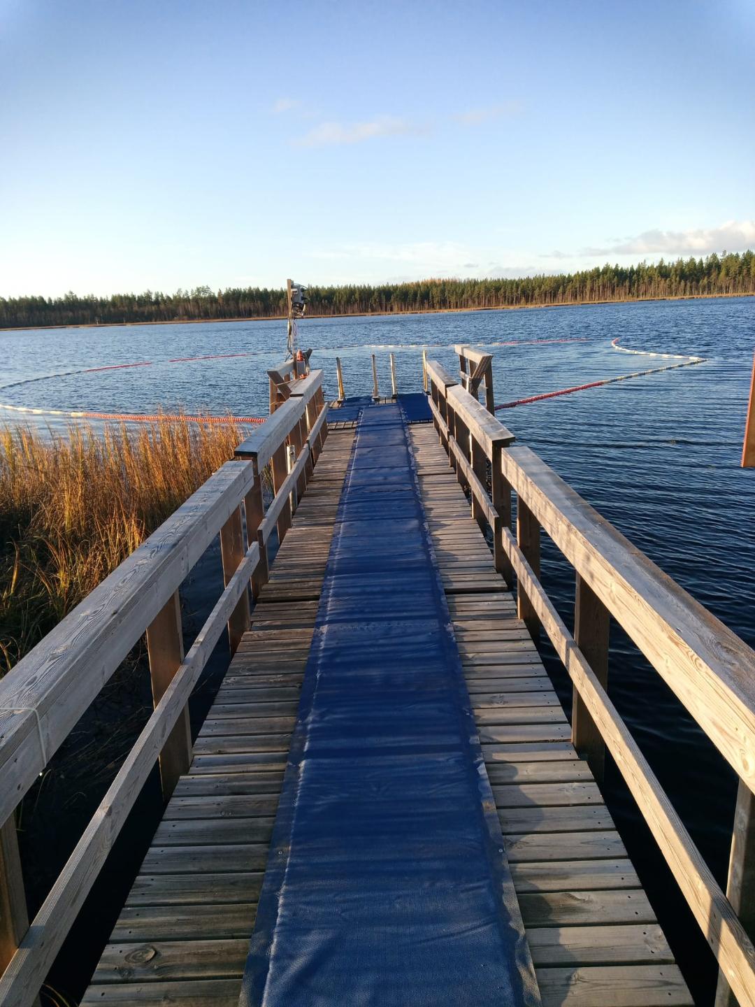 laituri, vettä ja kaislikkoa